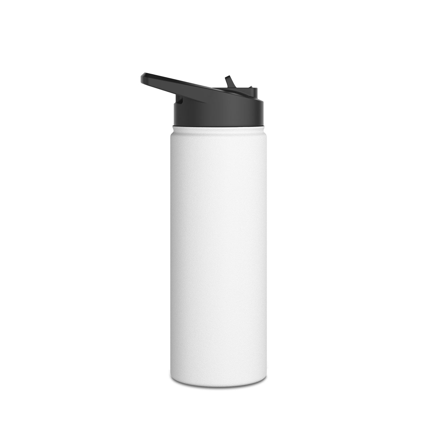 Stainless Steel Water Bottle, Hydration Companion, Eco-Friendly, Gym, Travel, Gift for Water Lovers, Reusable Water Container